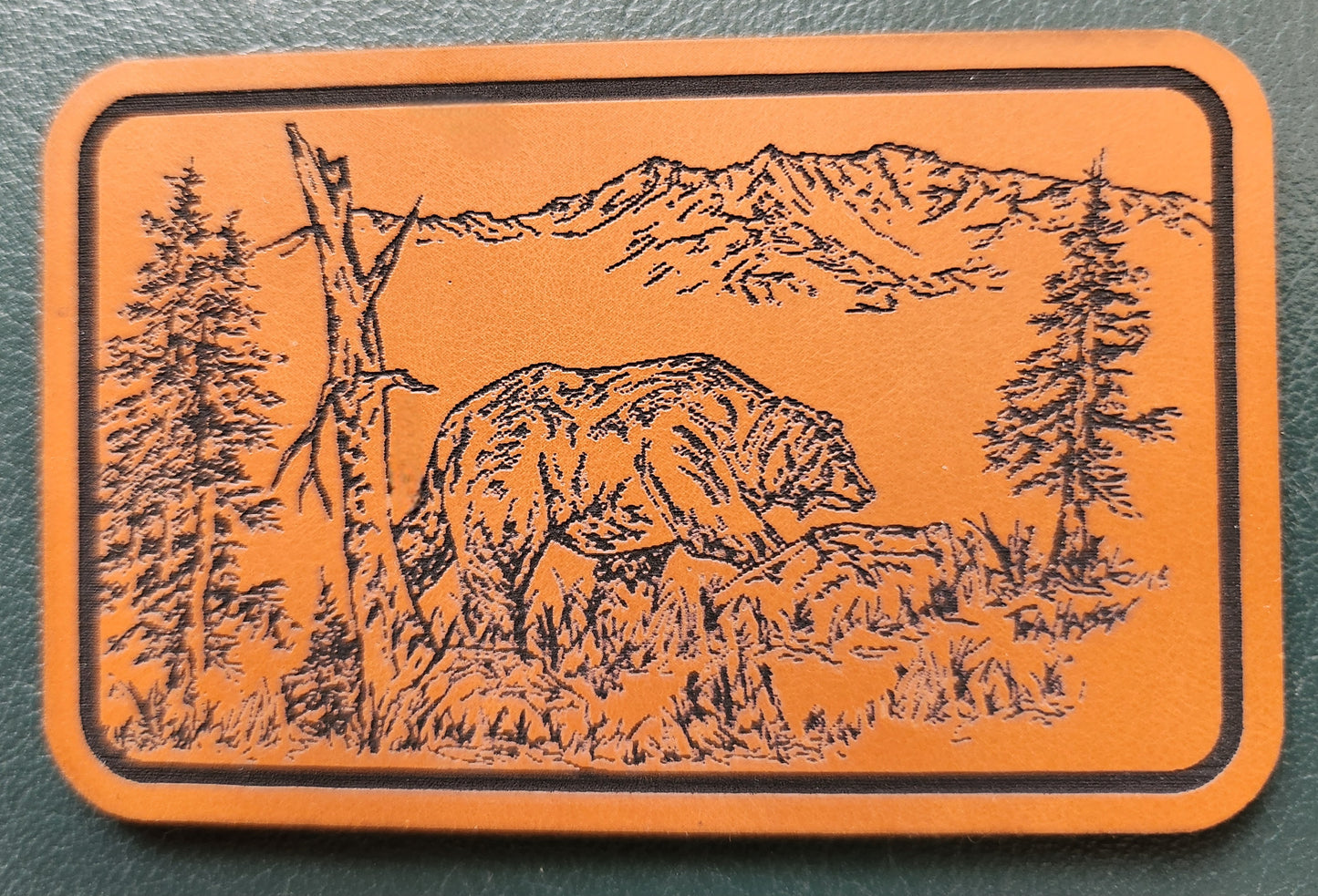 Grizzly Bear Patch Hat