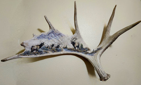 Carved and Painted Moose Antler