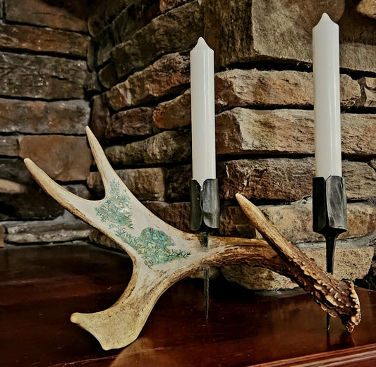 Non typical deer antler candle holder