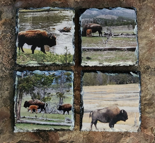 Yellowstone National Park Buffalo Set of Slate Coasters